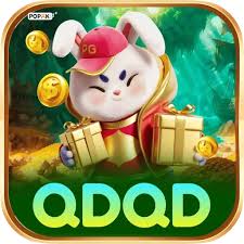 qdqd Prime - Win Real BRL